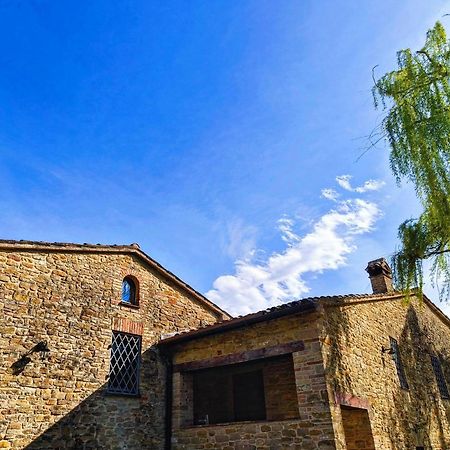 B&B Nel Vigneto Castelplanio Bagian luar foto