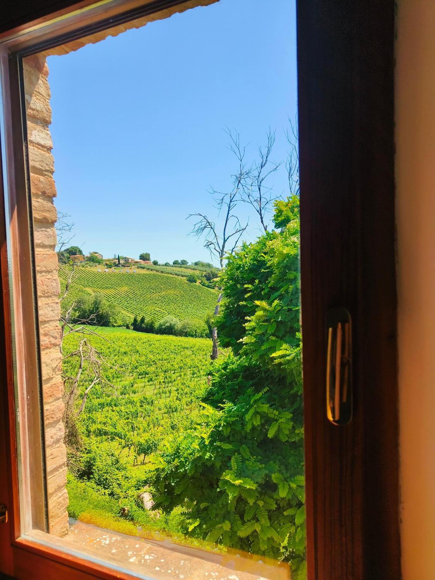 B&B Nel Vigneto Castelplanio Bagian luar foto